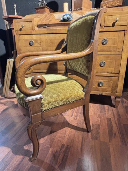 Coppia di sedie neoclassiche in noce - immagine 3